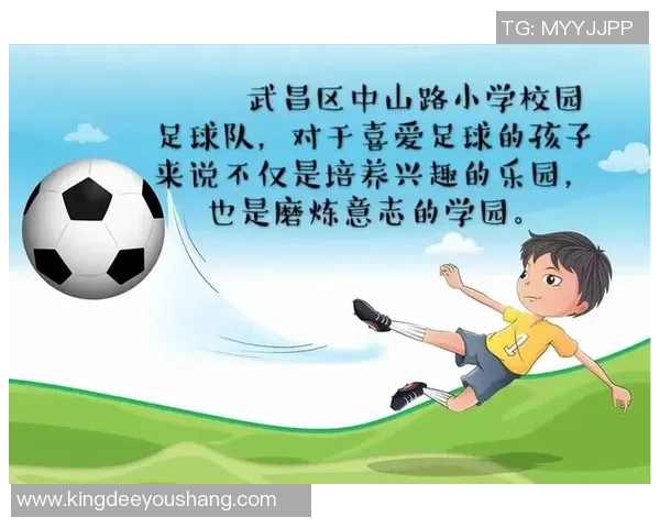 足球球星包什么的成长历程与辉煌成就深度解析