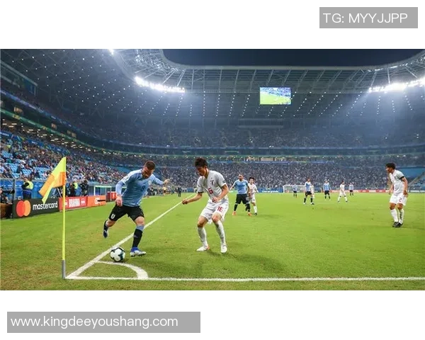 央视足球球星宣布退役 向辉煌职业生涯画上圆满句号 央视足球球星宣布退役 向辉煌职业生涯画上圆满句号