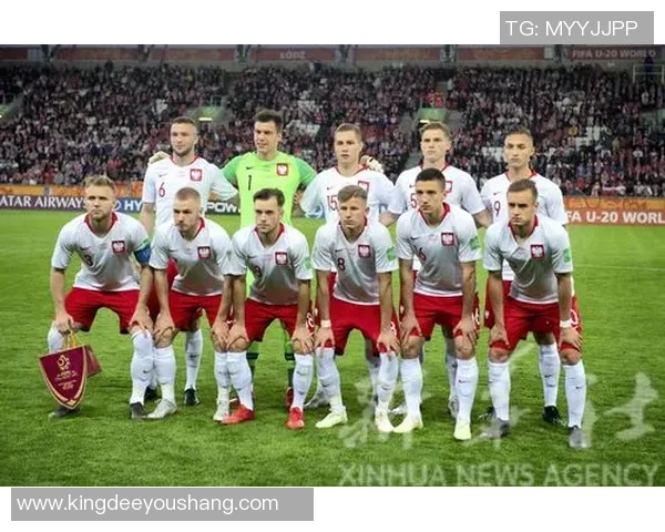 波兰现役足球明星介绍及其在国际赛场上的影响力分析 波兰现役足球明星介绍及其在国际赛场上的影响力分析