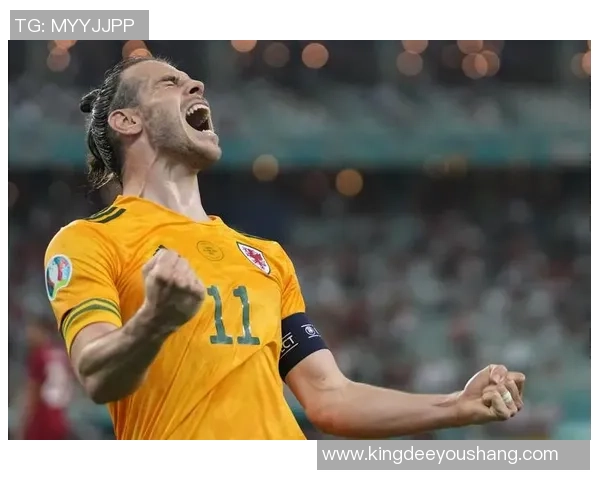 足球巨星贝尔的传奇人生与场外风采探索