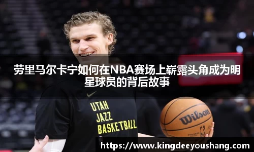 DB视讯官网